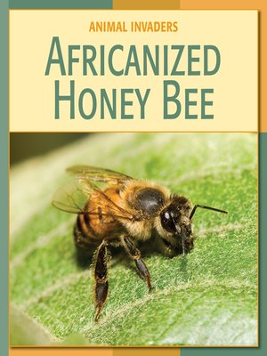 cover image of Africanized Honey Bee